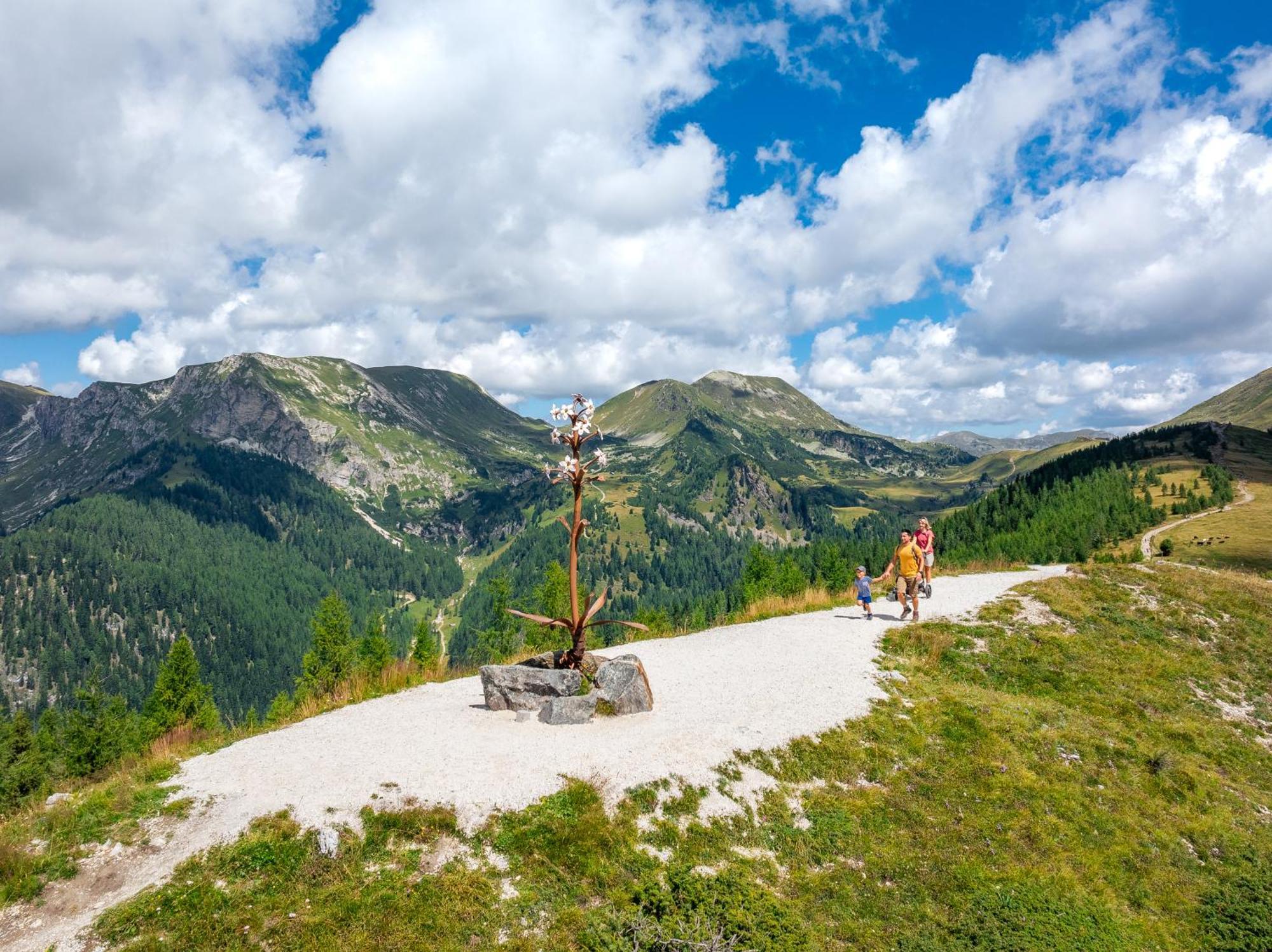 Residence Alba Montis Bad Kleinkirchheim Esterno foto